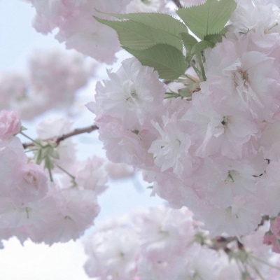 兽设动态构图思路FurryQQ群